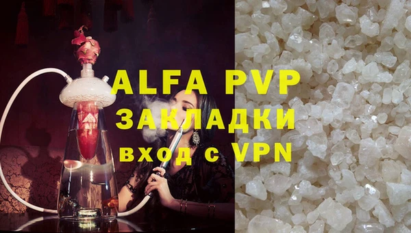 spice Новодвинск