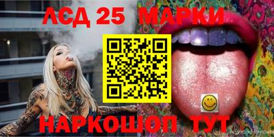 СК Кандалакша