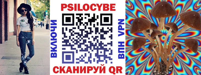 Псилоцибиновые грибы Cubensis  Новоалександровск 