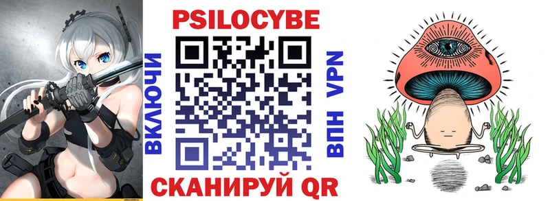 Псилоцибиновые грибы Psilocybine cubensis Новоалександровск