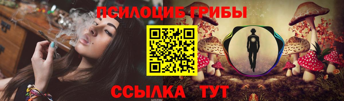 Галлюциногенные грибы MAGIC MUSHROOMS  Новоалександровск  Галлюциногенные грибы GOLDEN TEACHER 