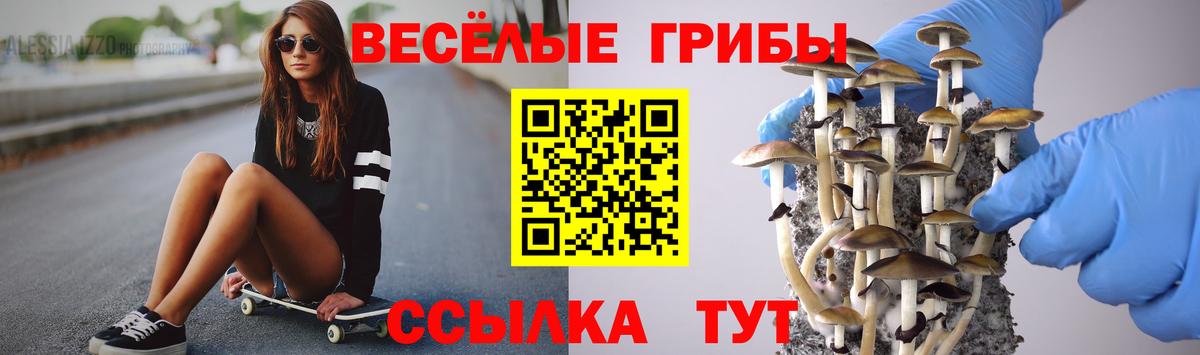 Псилоцибиновые грибы GOLDEN TEACHER Новоалександровск