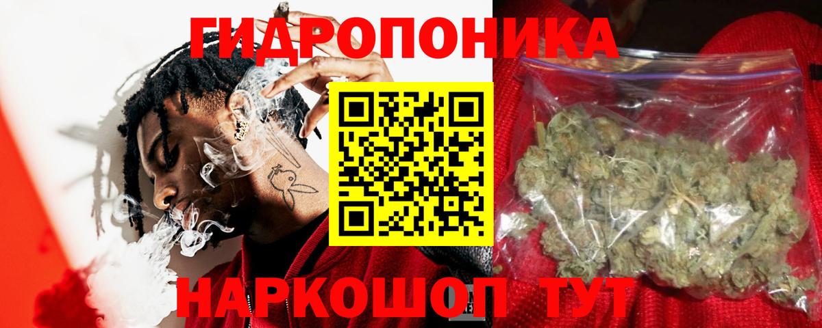 Марихуана планчик  Канабис VHQ  МАРИХУАНА ГИДРОПОН  Новоалександровск  Вход с VPN 