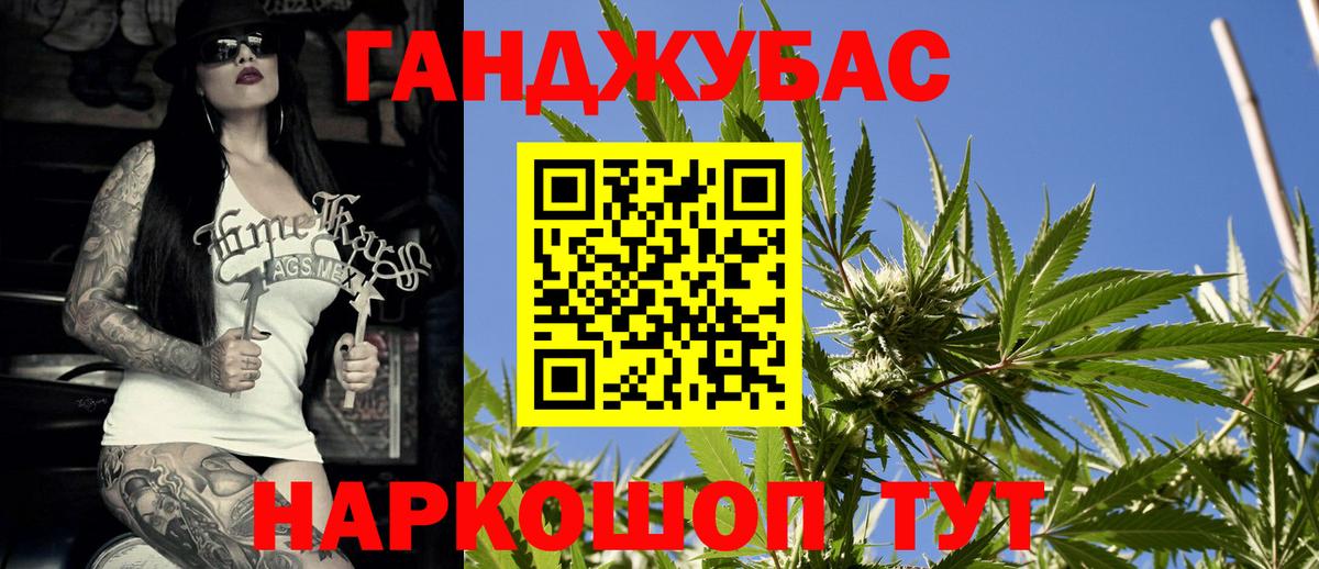 Шишки марихуана план Новоалександровск